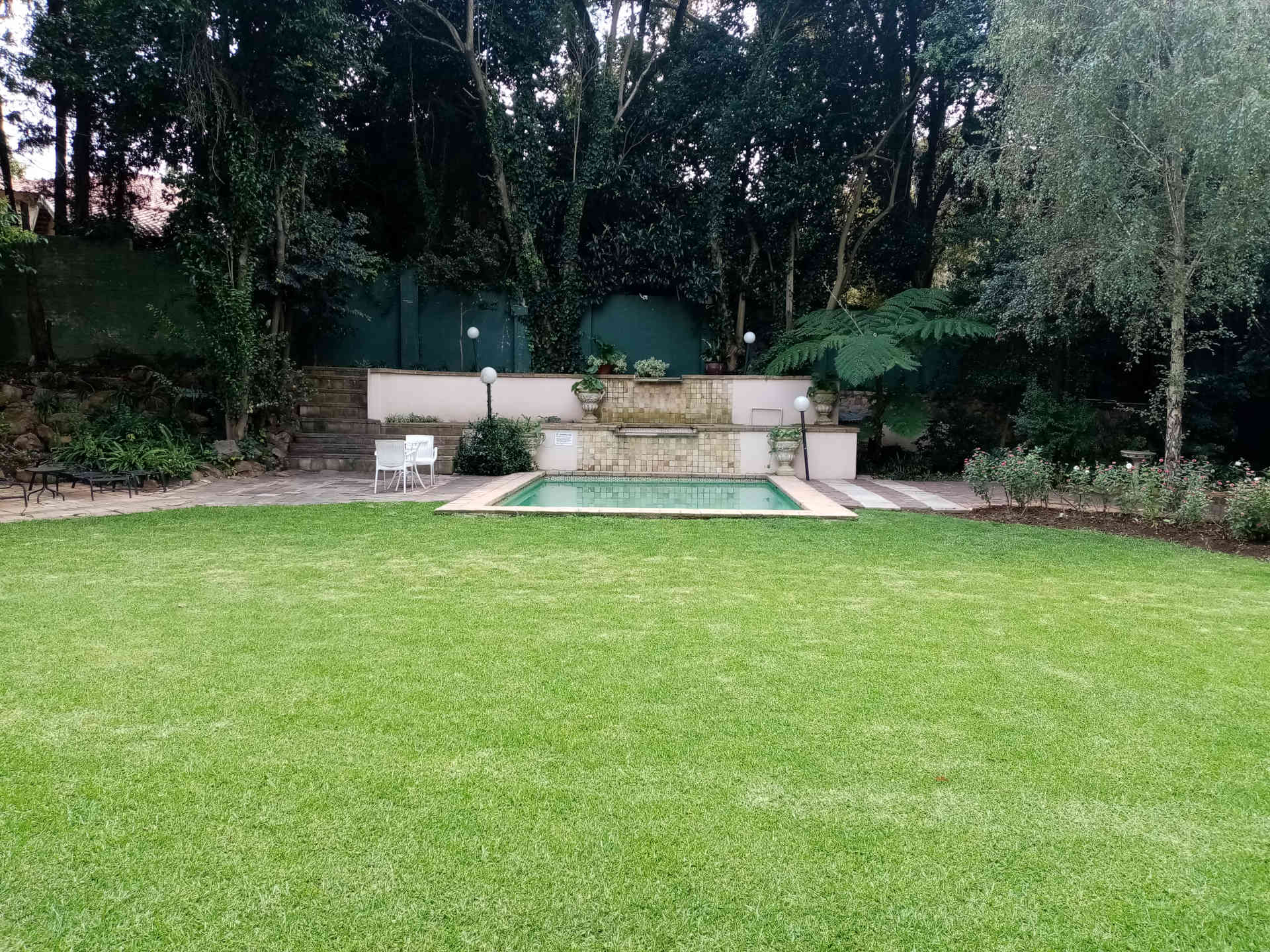Swimming pool and garden